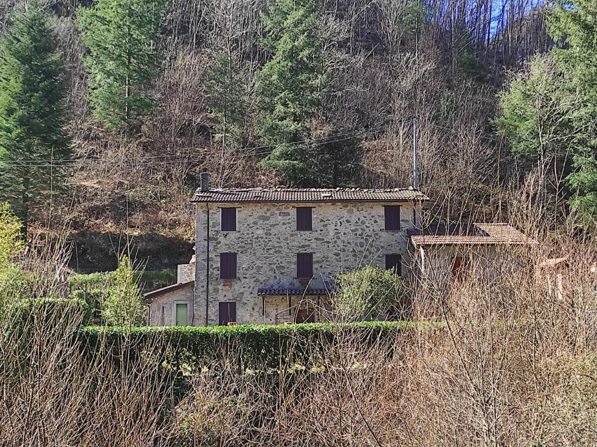 Casa Vacanze Il Boscaccio "Casa Massimo" Fornovolasco Exterior photo