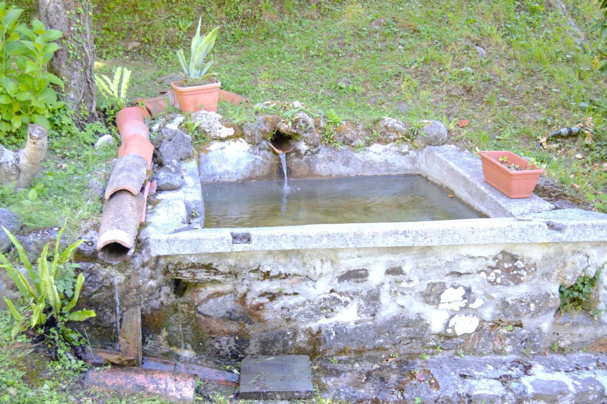 Casa Vacanze Il Boscaccio "Casa Massimo" Fornovolasco Exterior photo